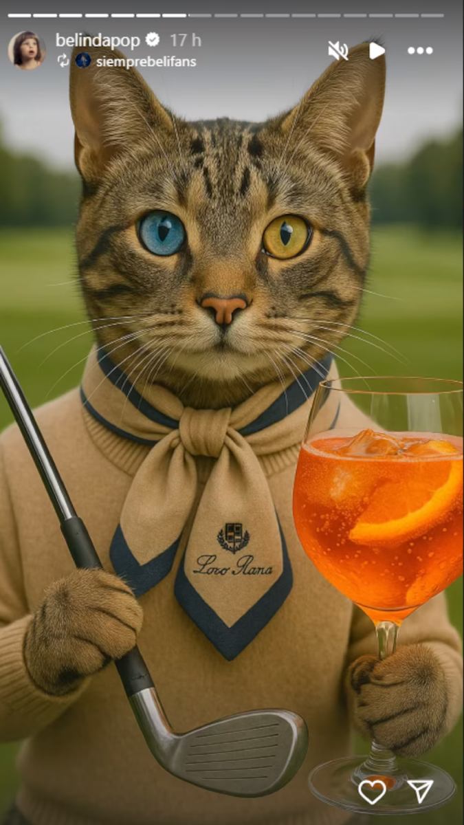Belinda subió una storie de un gatito con los ojos de distinto color.