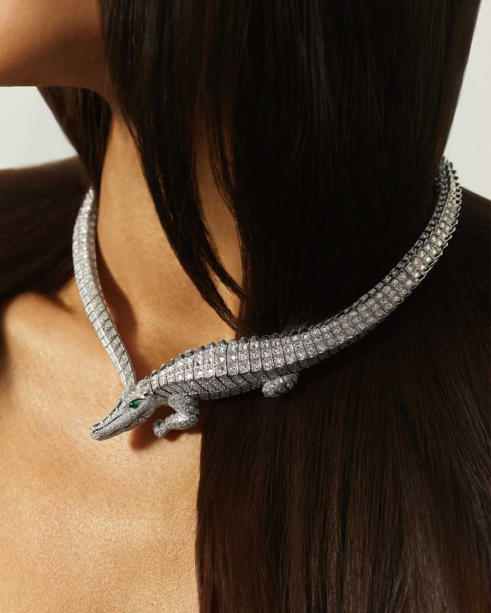 Collar cocodrilo.