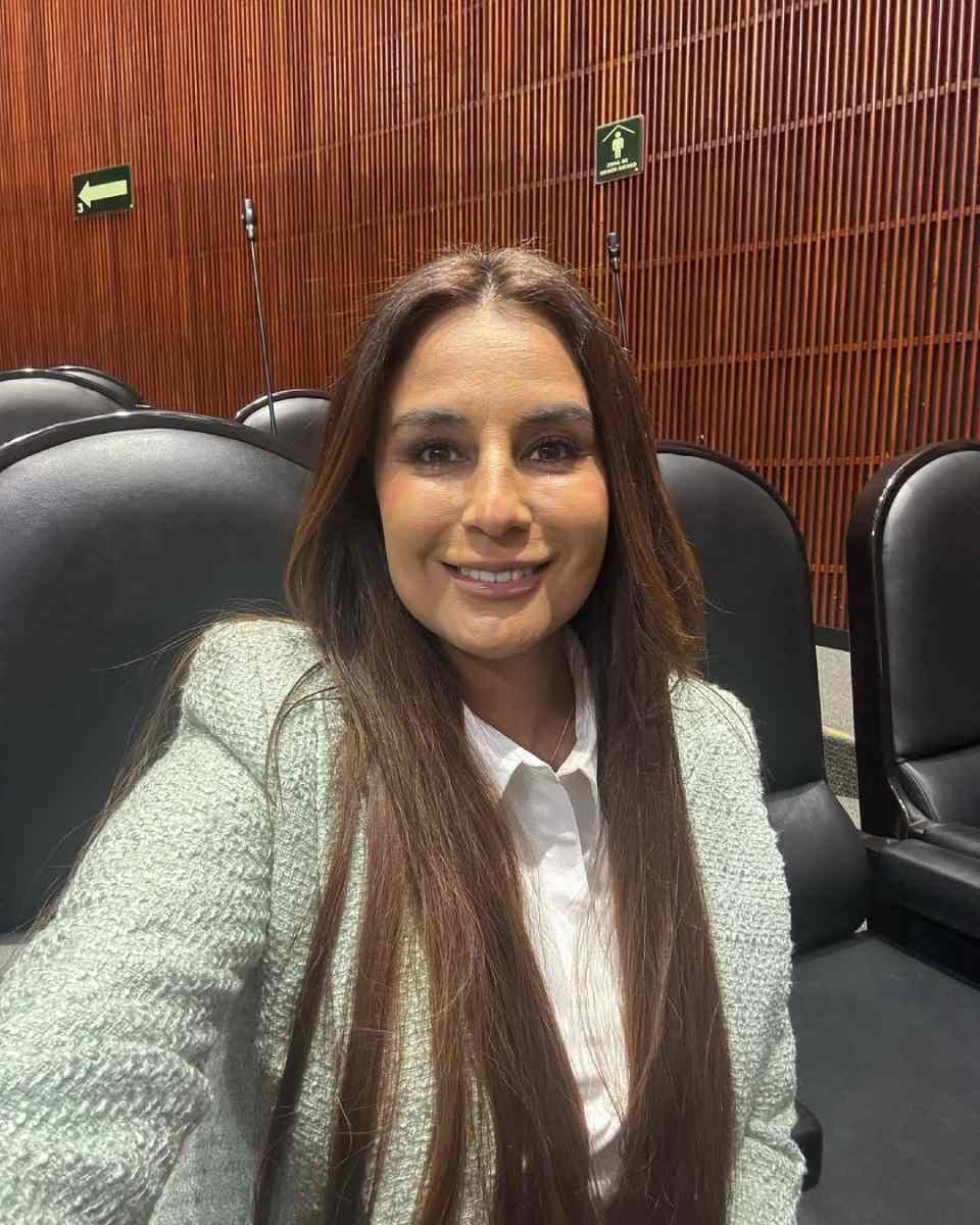 Actualmente, Paola Espinosa es diputada federal por el Partido Acción Nacional. 
