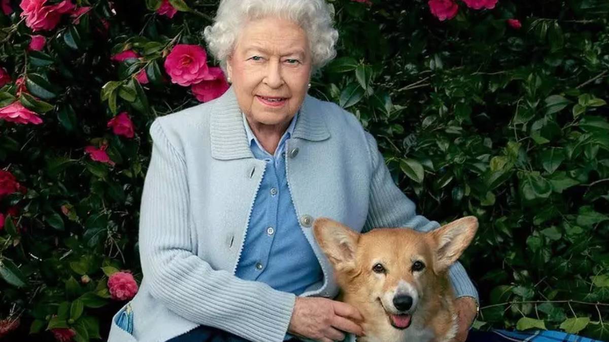 Los corgis de Isabel se ven arrastrados por la ‘caída en desgracia’ del expríncipe Andrés: esto pasará con ellos