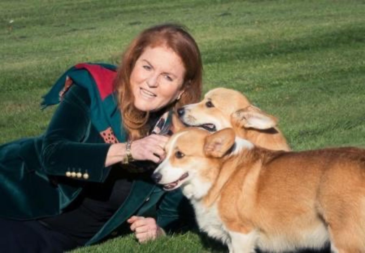 Sarah Ferguson, exesposo de Andrés, cuidaba a Muick y Sandy, los corgis que le había regalado el ahora expríncipe a su madre.