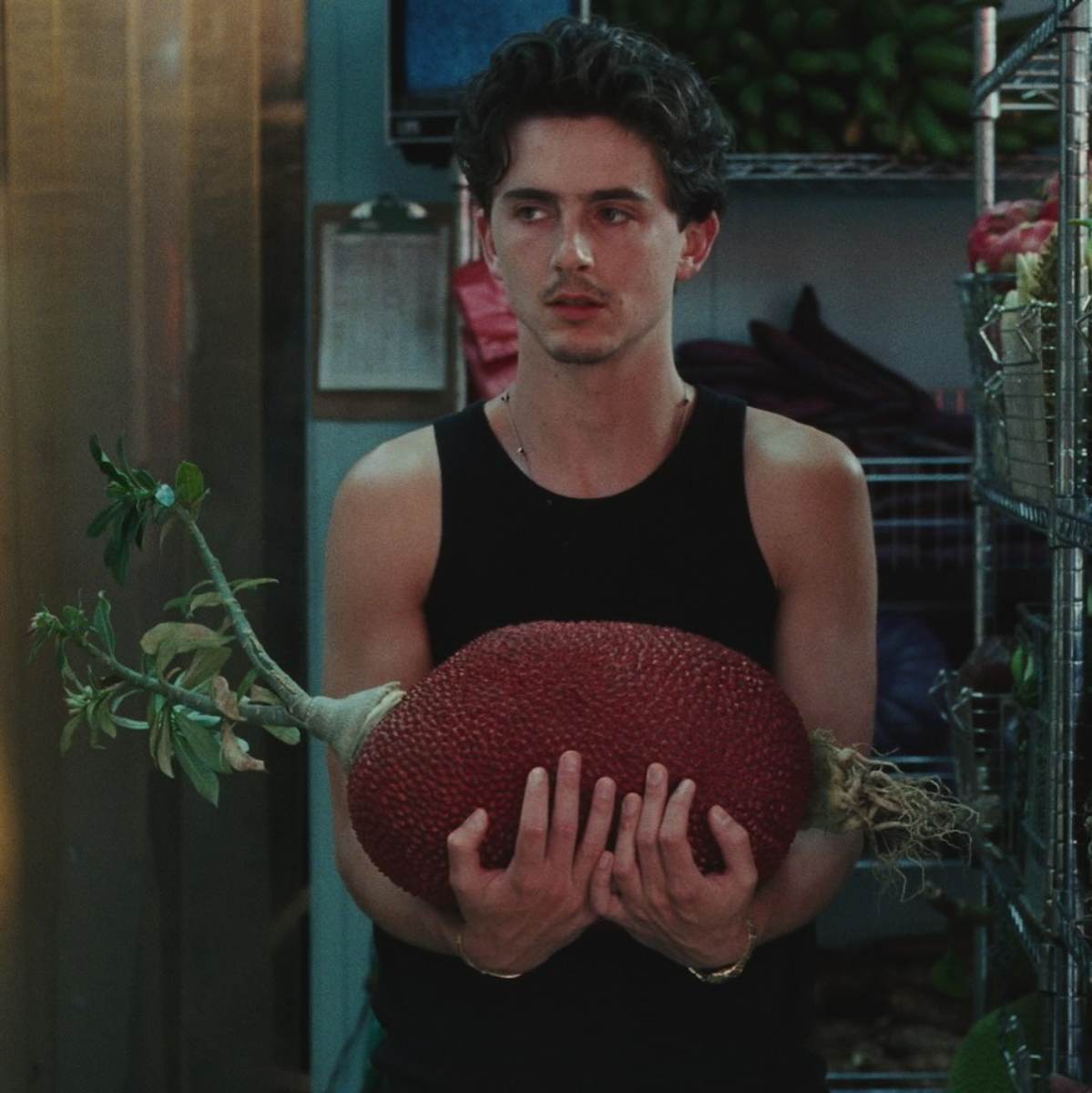 Timothée Chalamet se convirtió el actor favorito de su generación.