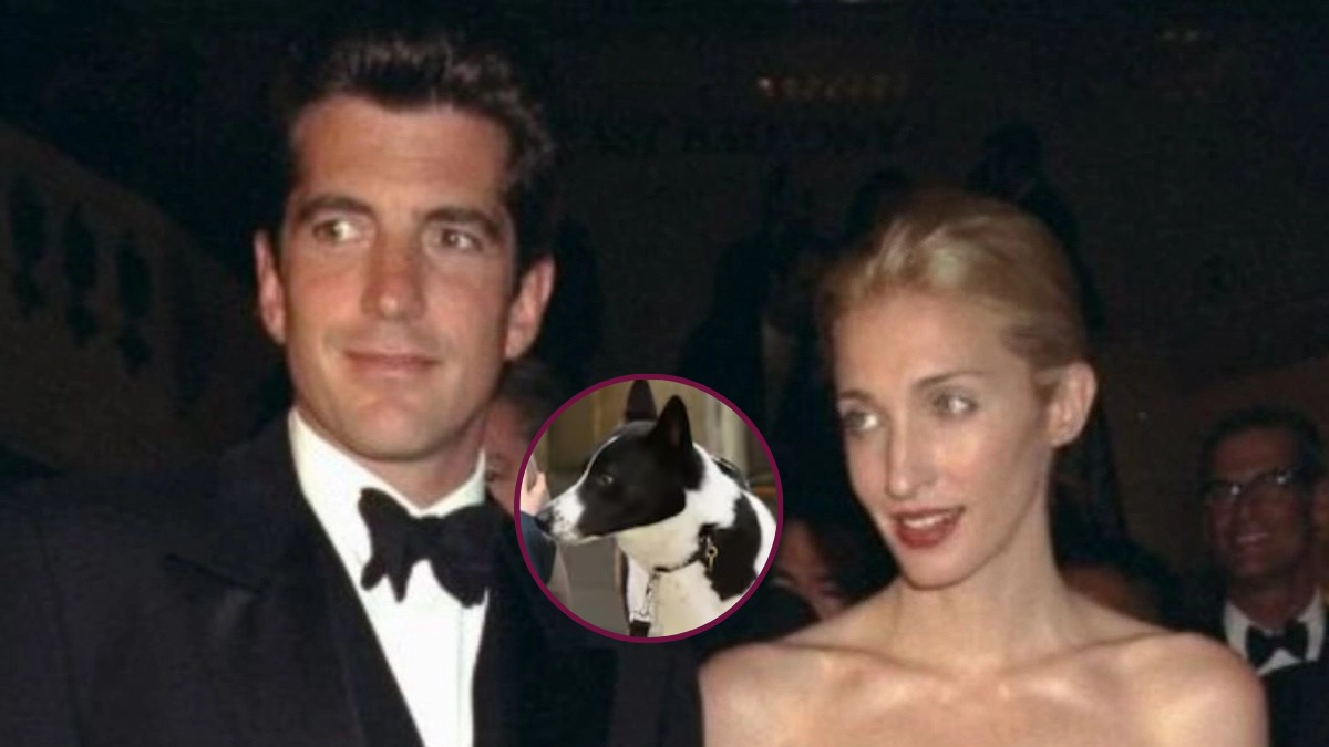 Tras la muerte de John F. Kennedy Jr. y Carolyn Bessette, este fue el destino de su perro Friday, que era considerado como su ‘hijo’