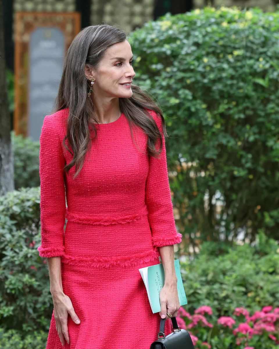 En 2014, Letizia Ortiz se convirtió en reina consorte.