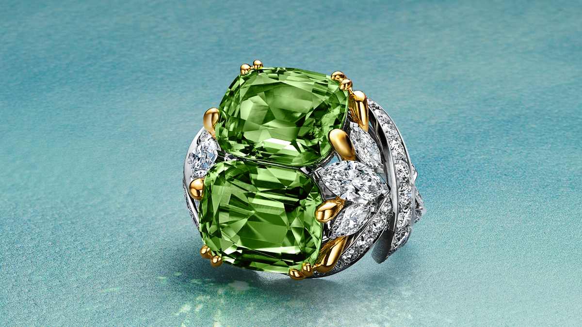 Tiffany & Co. revela “Hidden Garden”, una colección de Alta Joyería inspirada en los secretos de la naturaleza Tiffany & Co. revela “Hidden Garden”, una colección de Alta Joyería inspirada en los secretos de la naturaleza