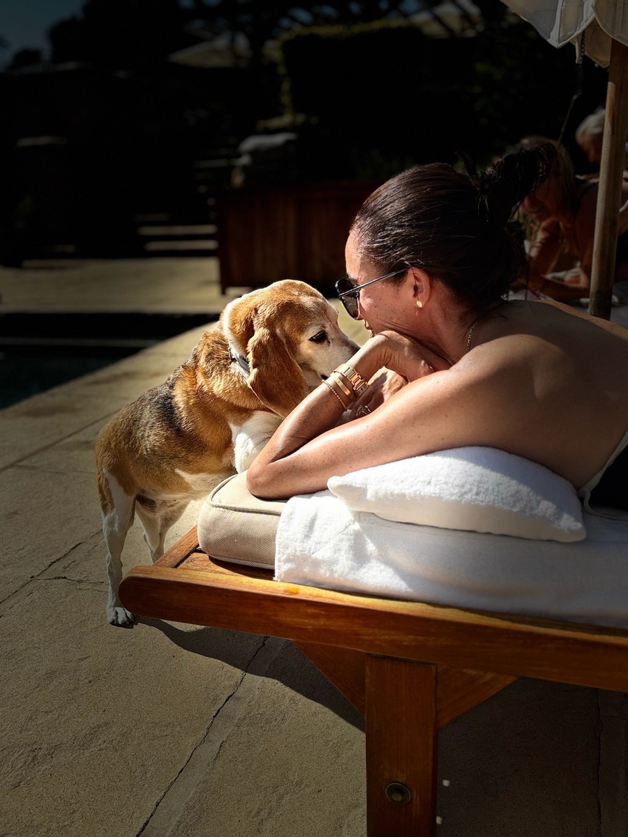 Meghan Markle no viajó sola por Europa: la duquesa de Sussex llevó consigo a Mamma Mia, su perrita beagle rescatada.